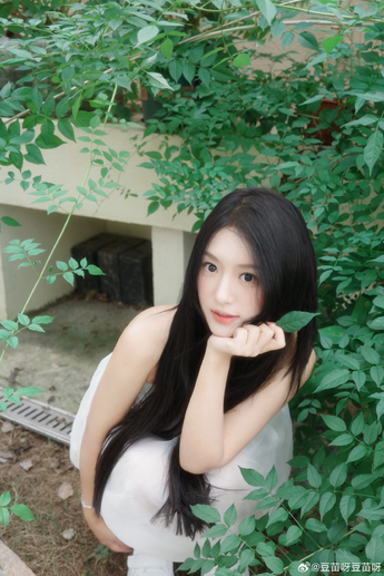 应用安装步骤示意图