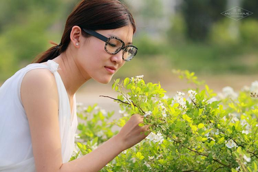 深夜动漫热门推荐内容2